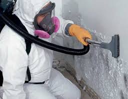 Reliable Riviera Beach, MD Mold Inspection Solutions